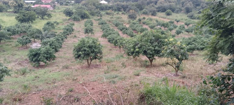 IMG_20250708_164418_062@142847591 (2)