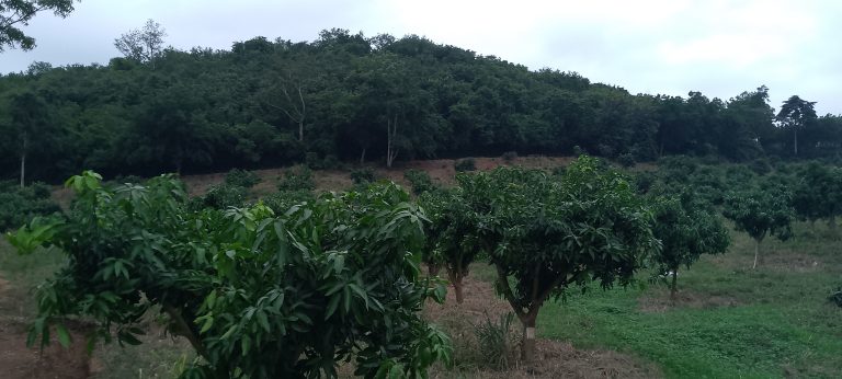 IMG_20250708_165040_339@-1856884604 (2)