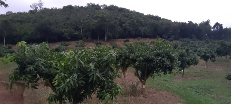 IMG_20250708_165047_695@1206427908 (2)