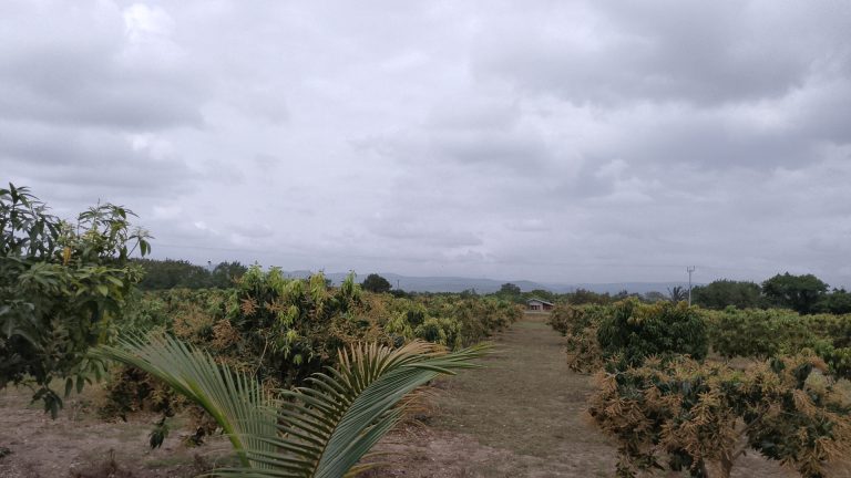 IMG_20250916_103552_3@-688248255