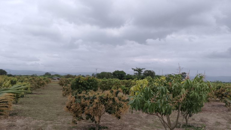 IMG_20250916_103555_9@1979803914