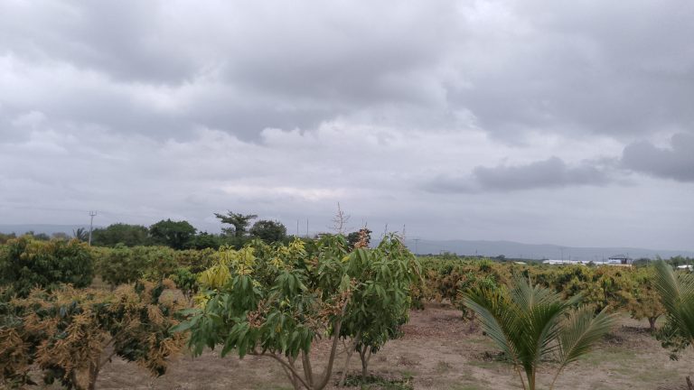 IMG_20250916_103557_6@-542926583