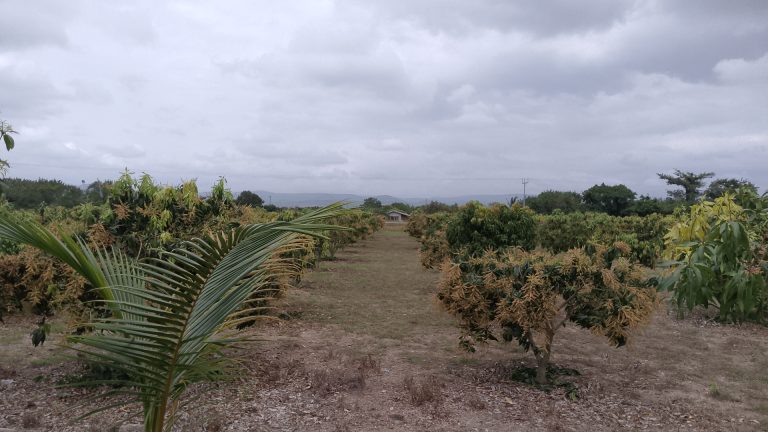 IMG_20250916_103600_8@-95242262