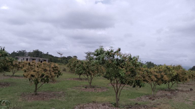 IMG_20250916_103713_6@-1794189685