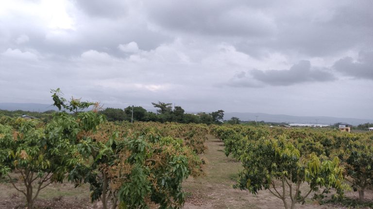 IMG_20250916_103749_2@165634730