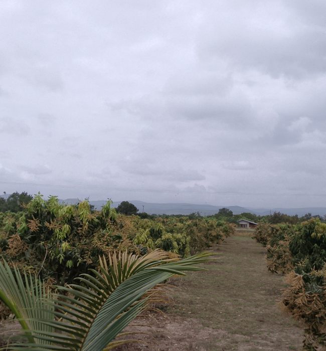 IMG_20250916_103552_3@-688248255