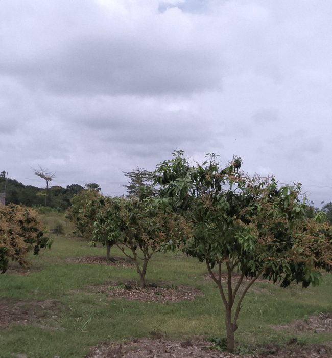 IMG_20250916_103713_6@-1794189685